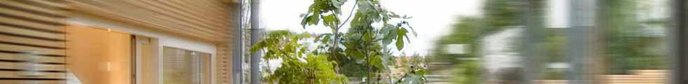 top_1_457_379