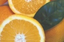 Brainfood