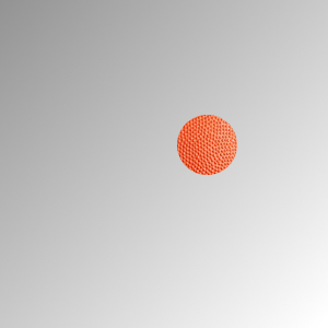 Gehirntraining: Fische