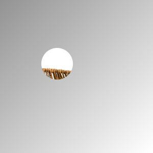 Gehirntraining: Maulwurf