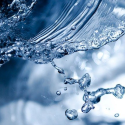 Wasser als Brainfood